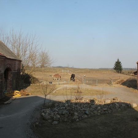 Ferienwohnung Pusteblume Steinhofel ภายนอก รูปภาพ