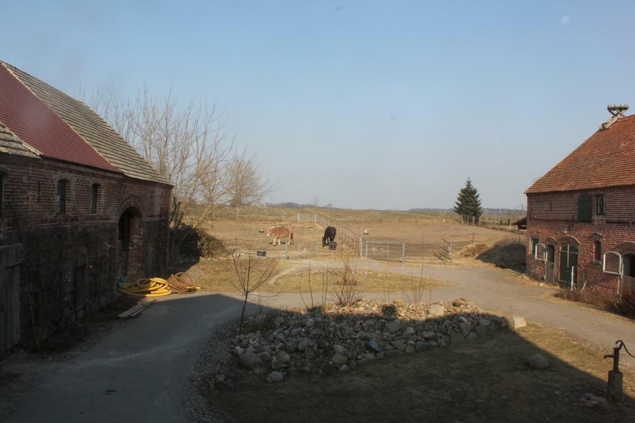 Ferienwohnung Pusteblume Steinhofel ภายนอก รูปภาพ