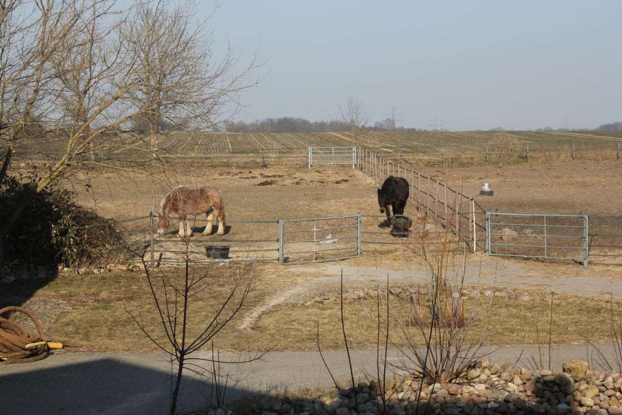 Ferienwohnung Pusteblume Steinhofel ภายนอก รูปภาพ